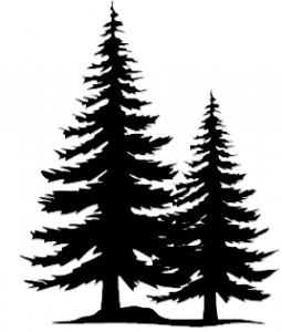 silhouette of two trees